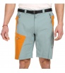 Direct Alpine Vulcan Shorts 1.0 M's