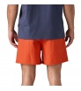 Patagonia Baggies 5