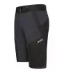 Къси Панталони Direct Alpine Fremont Shorts 1.0 M's